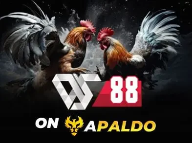 DS88 esports betting provider