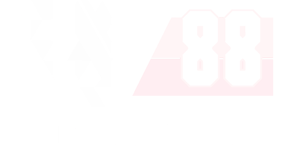 DS88 gaming provider logo