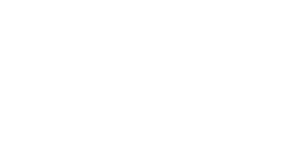 NE gaming provider logo