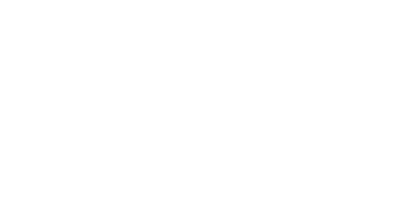 NG gaming provider logo