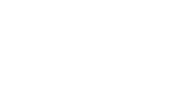 PP gaming provider logo