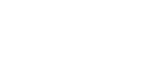 WMT gaming provider logo