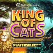 King of Cats slot game by Bigtime Gaming