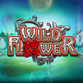 Wild Flower slot game by Bigtime Gaming