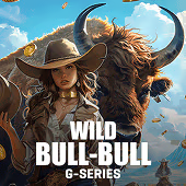 Bull-Bull Wild card game by GFG Gaming