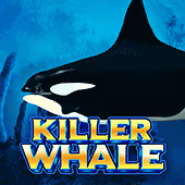 Killer Whale slot game by Lucky Moncao
