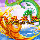 Fei Long Zai Tian slot game by Playtech